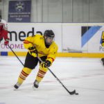 , Torneo 4 Naciones Femenino U18 de Hockey Hielo, Granada 2017, Real Federación Española Deportes de Hielo