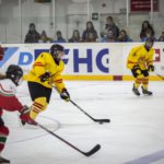 , Torneo 4 Naciones Femenino U18 de Hockey Hielo, Granada 2017, Real Federación Española Deportes de Hielo