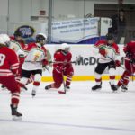 , Torneo 4 Naciones Femenino U18 de Hockey Hielo, Granada 2017, Real Federación Española Deportes de Hielo