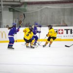 , Torneo 4 Naciones Femenino U18 de Hockey Hielo, Granada 2017, Real Federación Española Deportes de Hielo