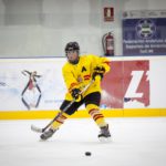 , Torneo 4 Naciones Femenino U18 de Hockey Hielo, Granada 2017, Real Federación Española Deportes de Hielo