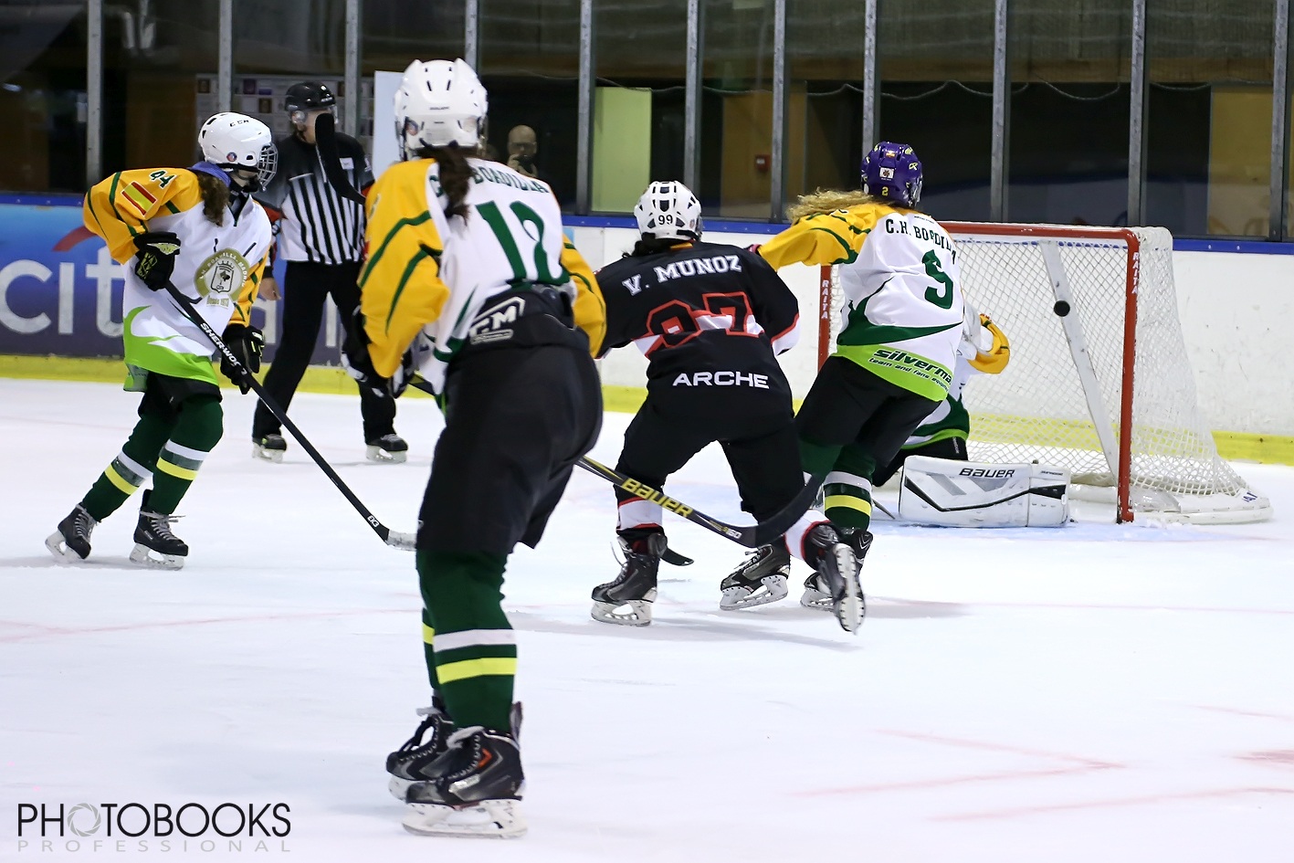 , La LNHH Femenina se convierte en la Liga Iberdrola de Hockey Hielo, Real Federación Española Deportes de Hielo