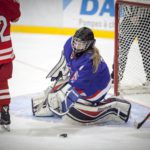 , Torneo 4 Naciones Femenino U18 de Hockey Hielo, Granada 2017, Real Federaci&oacute;n Espa&ntilde;ola Deportes de Hielo