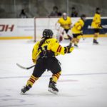 , Torneo 4 Naciones Femenino U18 de Hockey Hielo, Granada 2017, Real Federaci&oacute;n Espa&ntilde;ola Deportes de Hielo
