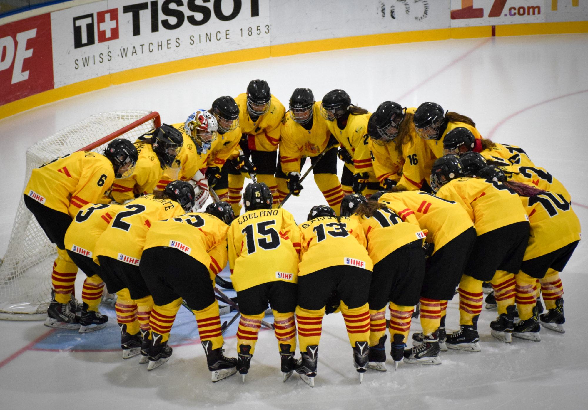 , Primeras convocatorias de cara a los Mundiales de Hockey Hielo, Real Federación Española Deportes de Hielo