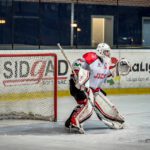 , Txuri Urdin-Jaca, Final Copa SM El Rey 17-18, Real Federación Española Deportes de Hielo