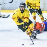 , Mundial de Hockey U20 División II, Grupo B, Real Federación Española Deportes de Hielo