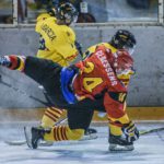 , Mundial de Hockey U20 División II, Grupo B, Real Federación Española Deportes de Hielo