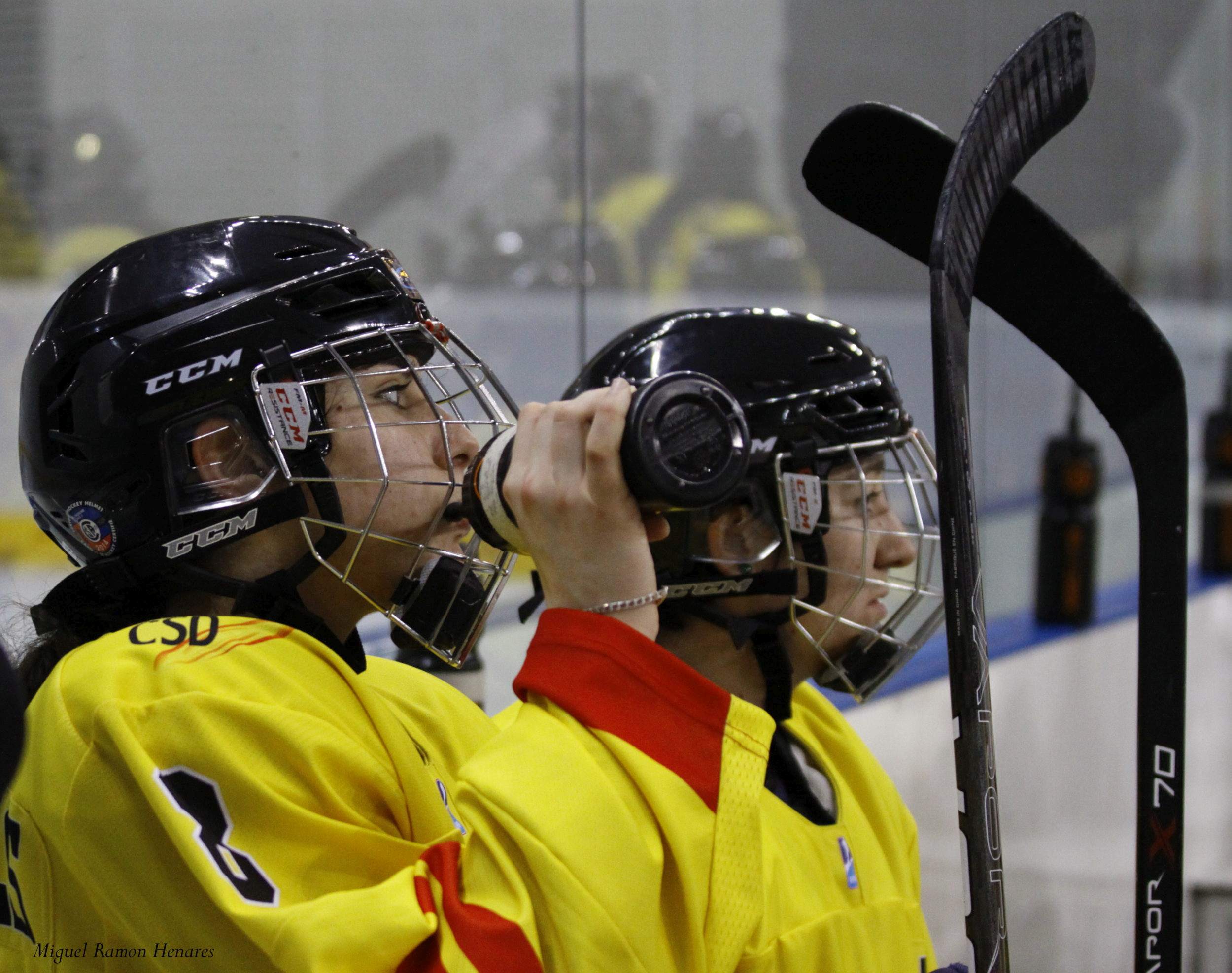 , 4 Naciones para preparar el Mundial de Valdemoro, Real Federación Española Deportes de Hielo