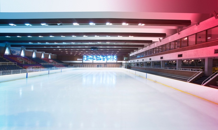 , Final Four de la Copa de España U17 de Hockey Hielo en Barcelona, Real Federación Española Deportes de Hielo