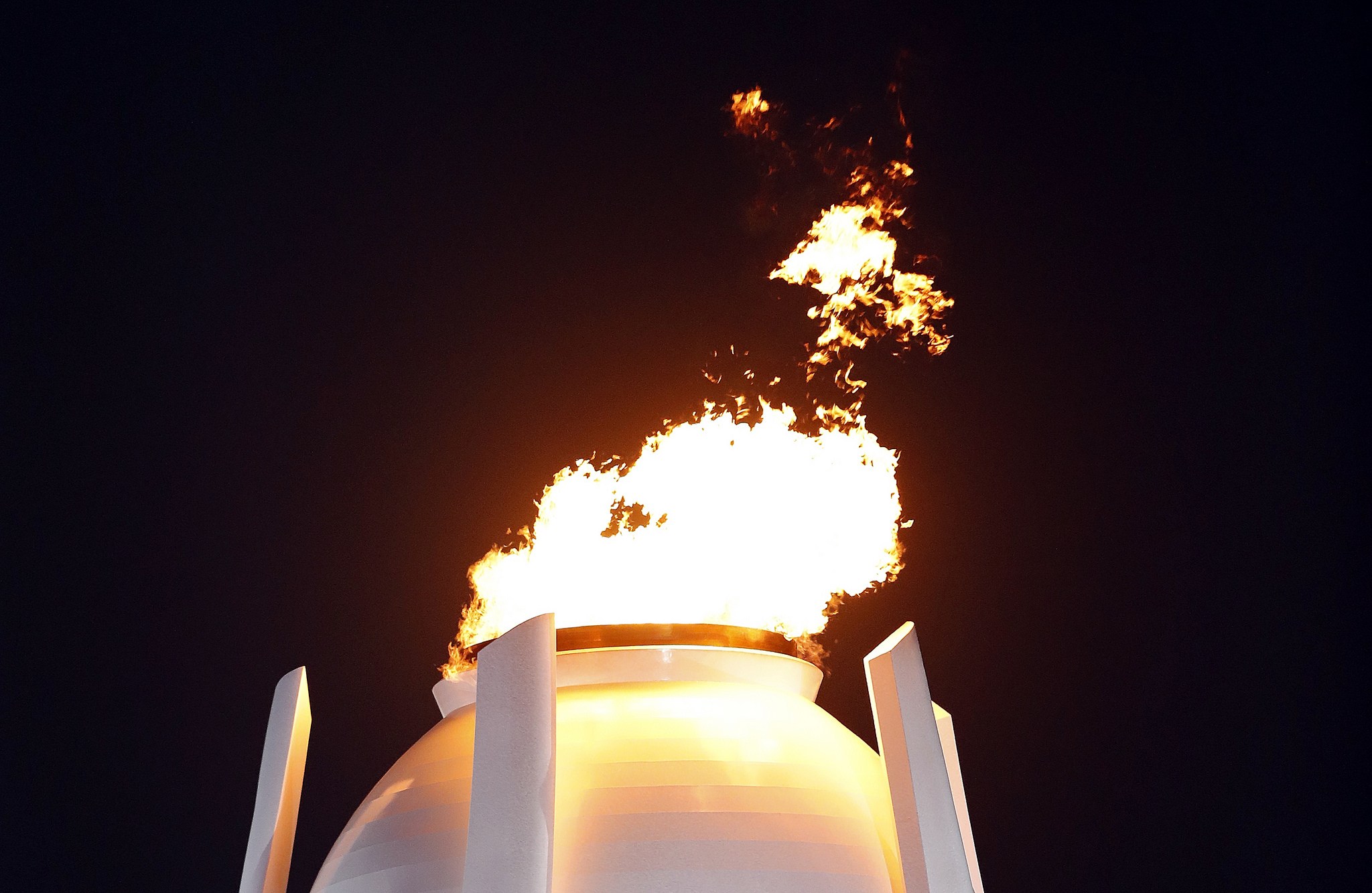 , Juegos Ol&iacute;mpicos de Invierno – PyeongChang 2018, Real Federaci&oacute;n Espa&ntilde;ola Deportes de Hielo