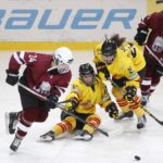 , 4 Naciones Hockey Hielo Femenino – Katowice, Polonia, Real Federaci&oacute;n Espa&ntilde;ola Deportes de Hielo