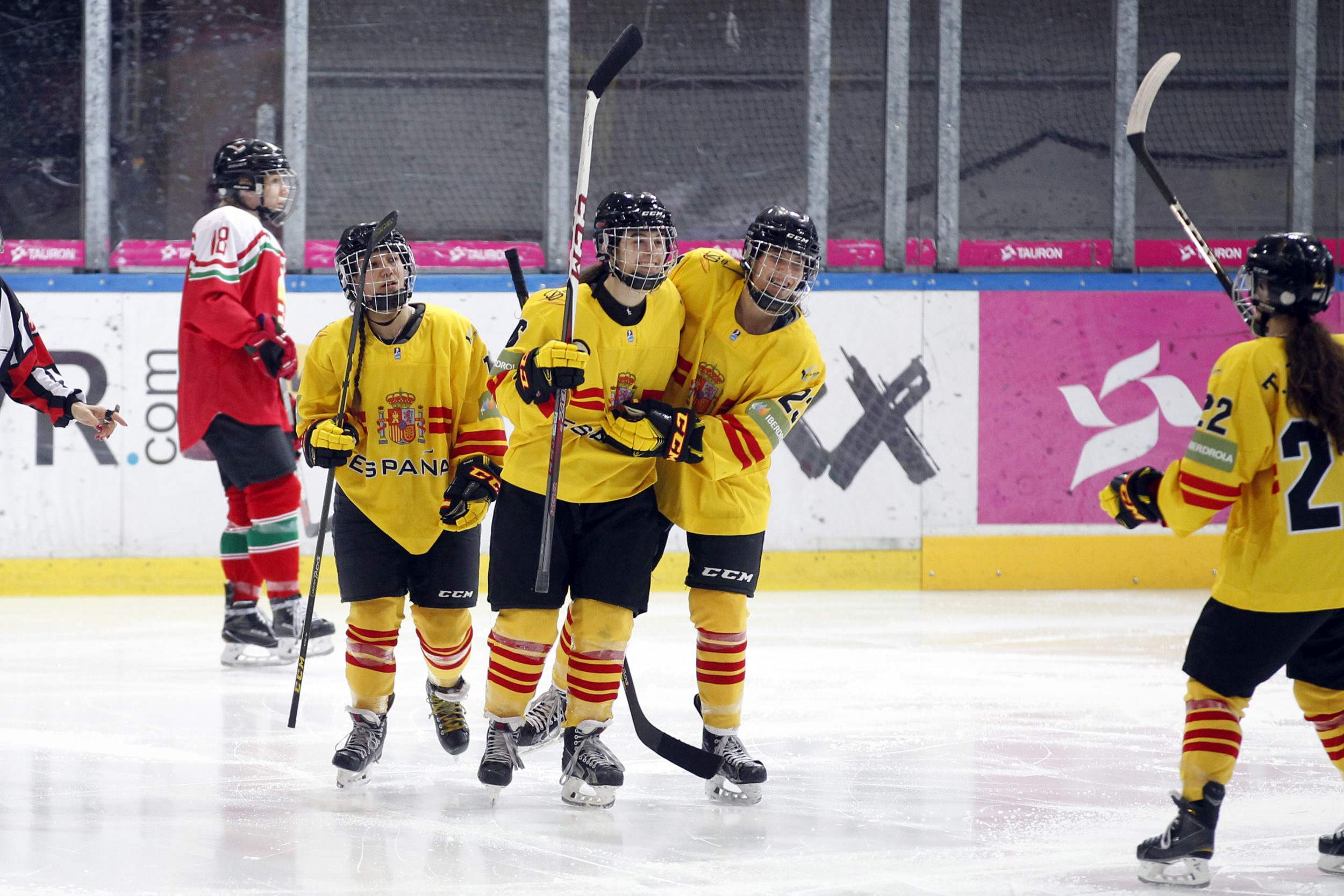 , Valdemoro está a punto para albergar el Mundial de Hockey Hielo Femenino, Real Federación Española Deportes de Hielo