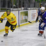 , Mundial Hockey Hielo Senior Femenino División II Grupo B &#8211; Valdemoro &#8217;18, Real Federación Española Deportes de Hielo