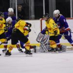 , Mundial Hockey Hielo Senior Femenino División II Grupo B &#8211; Valdemoro &#8217;18, Real Federación Española Deportes de Hielo