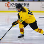 , Mundial Hockey Hielo Senior Femenino División II Grupo B &#8211; Valdemoro &#8217;18, Real Federación Española Deportes de Hielo