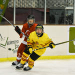 , Mundial Hockey Hielo Senior Femenino División II Grupo B &#8211; Valdemoro &#8217;18, Real Federación Española Deportes de Hielo