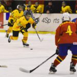 , Mundial Hockey Hielo Senior Femenino División II Grupo B &#8211; Valdemoro &#8217;18, Real Federación Española Deportes de Hielo