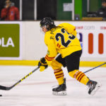 , Mundial Hockey Hielo Senior Femenino División II Grupo B &#8211; Valdemoro &#8217;18, Real Federación Española Deportes de Hielo