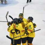 , Mundial Hockey Hielo Senior Femenino División II Grupo B &#8211; Valdemoro &#8217;18, Real Federación Española Deportes de Hielo