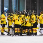 , Mundial Hockey Hielo Senior Femenino División II Grupo B &#8211; Valdemoro &#8217;18, Real Federación Española Deportes de Hielo