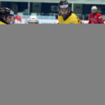 , Mundial Hockey Hielo U18 Masculino División II Grupo B &#8211; Zagreb &#8217;18, Real Federación Española Deportes de Hielo