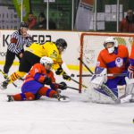 , Mundial Hockey Hielo Senior Femenino División II Grupo B &#8211; Valdemoro &#8217;18, Real Federación Española Deportes de Hielo