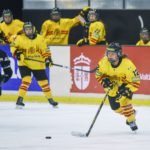 , Mundial Hockey Hielo Senior Femenino División II Grupo B &#8211; Valdemoro &#8217;18, Real Federación Española Deportes de Hielo