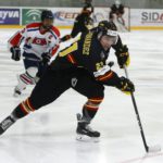 , MUNDIAL HOCKEY HIELO SENIOR MASCULINO DIVISIÓN II GRUPO B – GRANADA ’18, Real Federación Española Deportes de Hielo