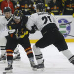 , MUNDIAL HOCKEY HIELO SENIOR MASCULINO DIVISIÓN II GRUPO B – GRANADA ’18, Real Federación Española Deportes de Hielo