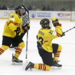 , MUNDIAL HOCKEY HIELO SENIOR MASCULINO DIVISIÓN II GRUPO B – GRANADA ’18, Real Federación Española Deportes de Hielo