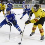 , MUNDIAL HOCKEY HIELO SENIOR MASCULINO DIVISIÓN II GRUPO B – GRANADA ’18, Real Federación Española Deportes de Hielo