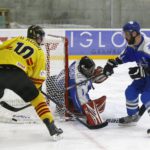 , MUNDIAL HOCKEY HIELO SENIOR MASCULINO DIVISIÓN II GRUPO B – GRANADA ’18, Real Federación Española Deportes de Hielo