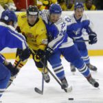 , MUNDIAL HOCKEY HIELO SENIOR MASCULINO DIVISIÓN II GRUPO B – GRANADA ’18, Real Federación Española Deportes de Hielo