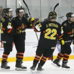 , MUNDIAL HOCKEY HIELO SENIOR MASCULINO DIVISIÓN II GRUPO B – GRANADA ’18, Real Federación Española Deportes de Hielo