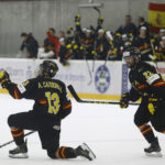 , MUNDIAL HOCKEY HIELO SENIOR MASCULINO DIVISIÓN II GRUPO B – GRANADA ’18, Real Federación Española Deportes de Hielo