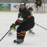 , MUNDIAL HOCKEY HIELO SENIOR MASCULINO DIVISIÓN II GRUPO B – GRANADA ’18, Real Federación Española Deportes de Hielo