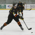 , MUNDIAL HOCKEY HIELO SENIOR MASCULINO DIVISIÓN II GRUPO B – GRANADA ’18, Real Federación Española Deportes de Hielo