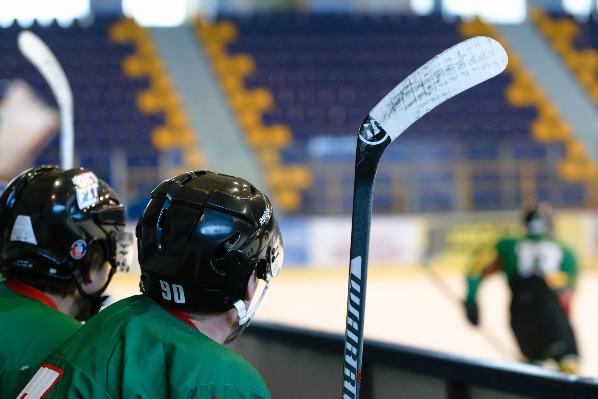 , La FEDH ultima la oferta formativa de Hockey y Patinaje para la próxima temporada, Real Federación Española Deportes de Hielo