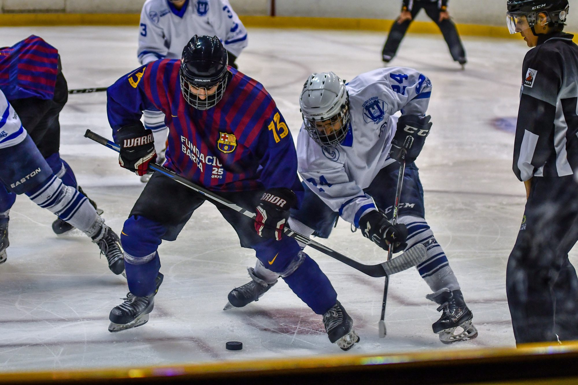 , Configurados los playoffs de la LNHH, Real Federación Española Deportes de Hielo