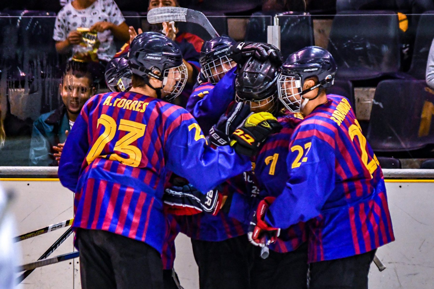 , El Barça Hockey Gel representará a España en la Copa Continental 2020-21, Real Federación Española Deportes de Hielo