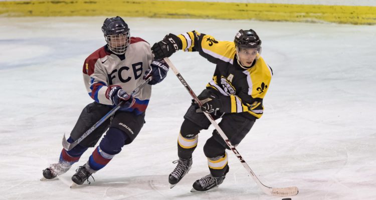 FEDHIELO. Real Federación Española Deportes de Hielo | HOCKEY SOBRE HIELO