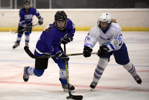 , Majadahonda, Valdemoro y Txuri Urdin se imponen en la Liga Iberdrola, Real Federación Española Deportes de Hielo