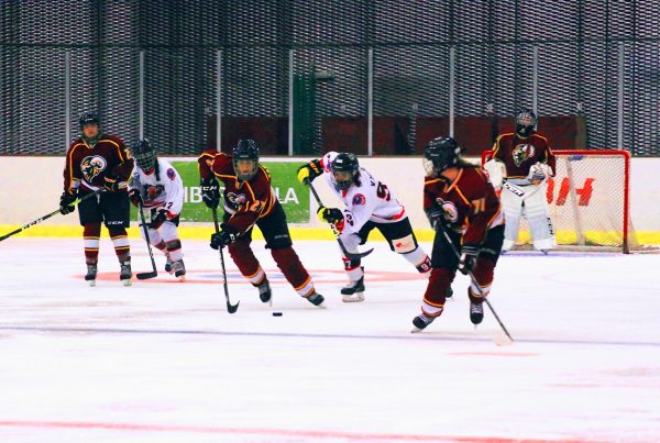 deportes de hielo, Noticias, Real Federación Española Deportes de Hielo