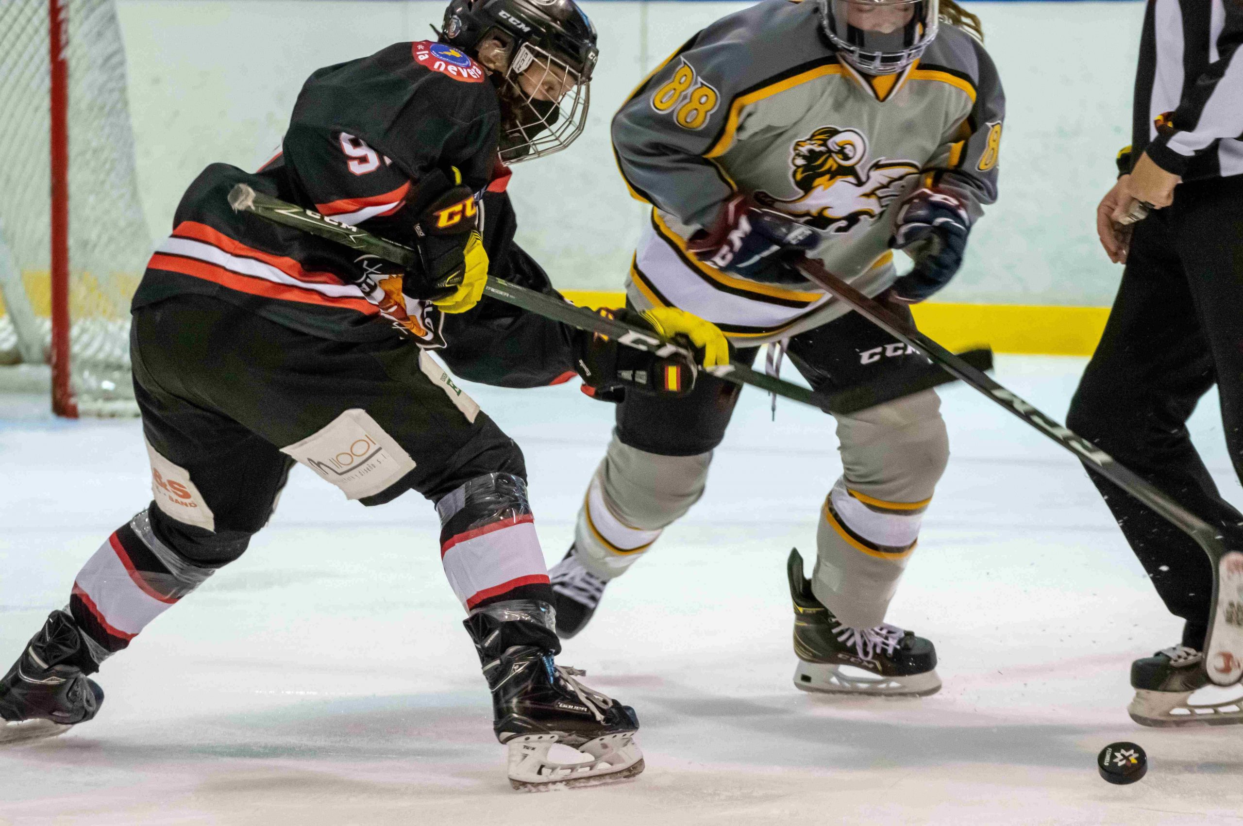 finales, Reediciones de finales, debuts y mucho más, Real Federación Española Deportes de Hielo