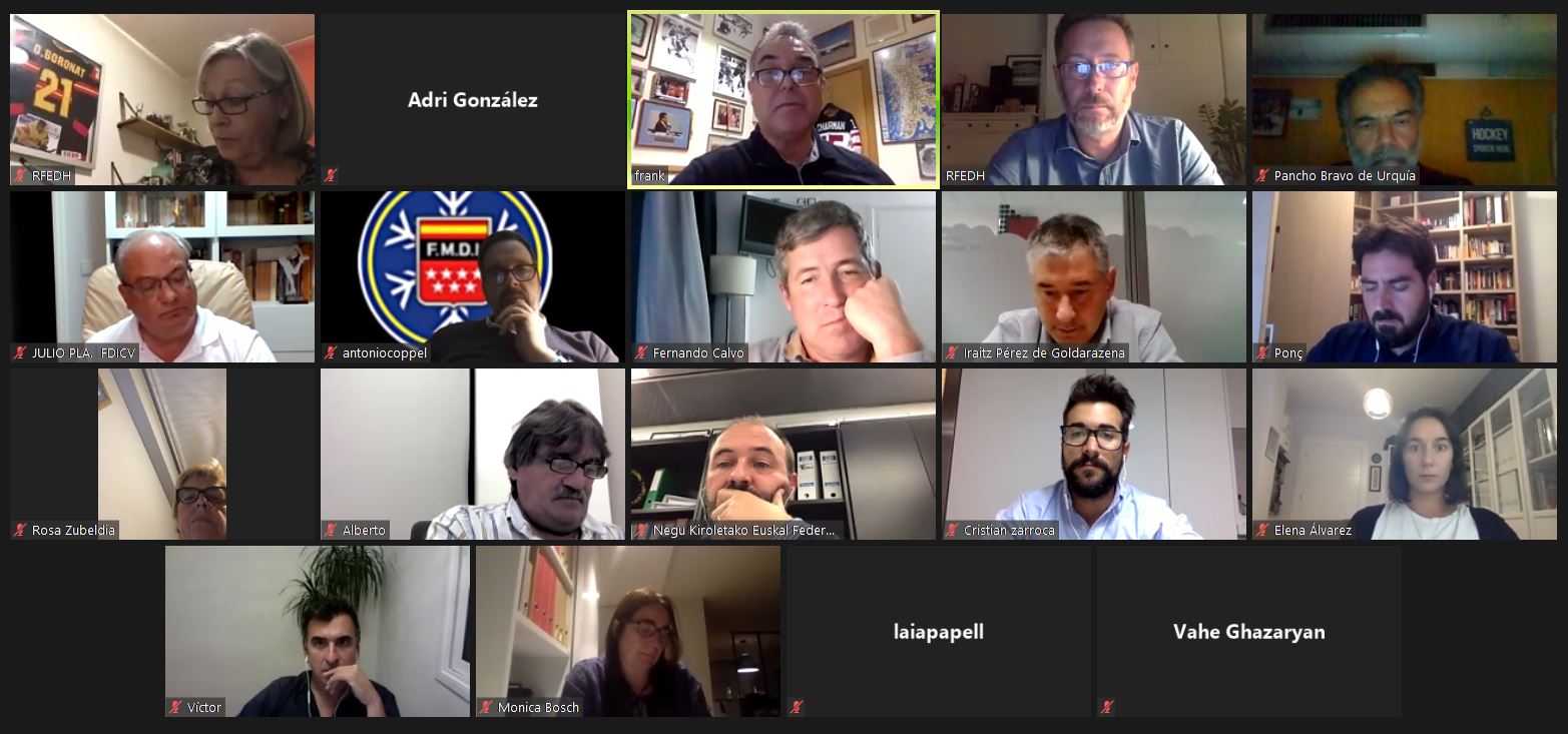 comisi&oacute;n delegada, Celebrada la reuni&oacute;n de la Comisi&oacute;n Delegada de la RFEDH, Real Federaci&oacute;n Espa&ntilde;ola Deportes de Hielo