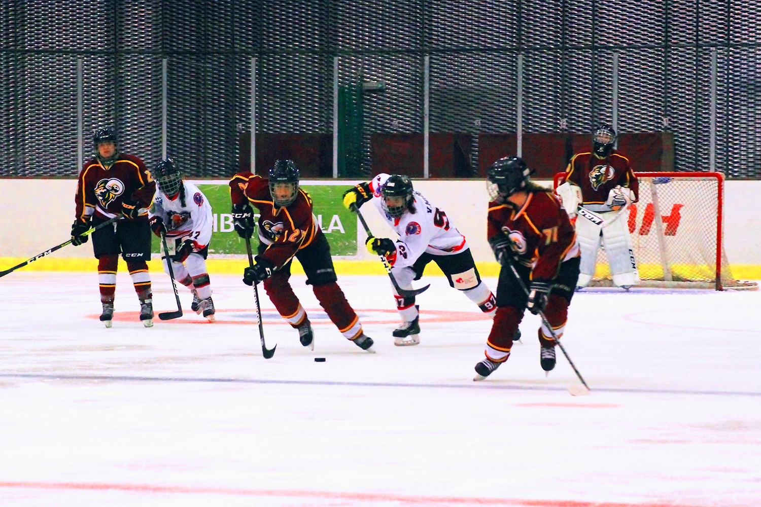 , CG Puigcerdà y SAD Majadahonda siguen imbatidos, Real Federación Española Deportes de Hielo