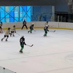 SAD Majadahonda, El SAD Majadahonda suma su primera victoria ante el CHH Txuri Urdin, Real Federaci&oacute;n Espa&ntilde;ola Deportes de Hielo