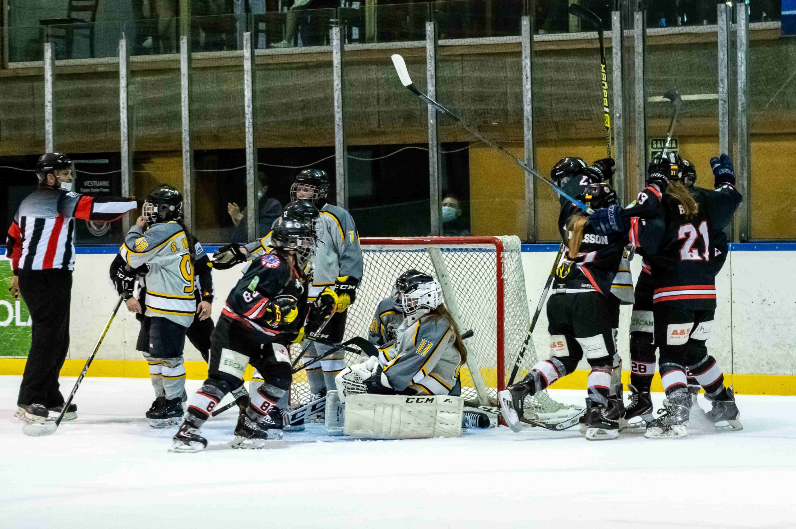 sad majadahonda, El SAD Majadahonda inicia la defensa del título de Liga Iberdrola, Real Federación Española Deportes de Hielo