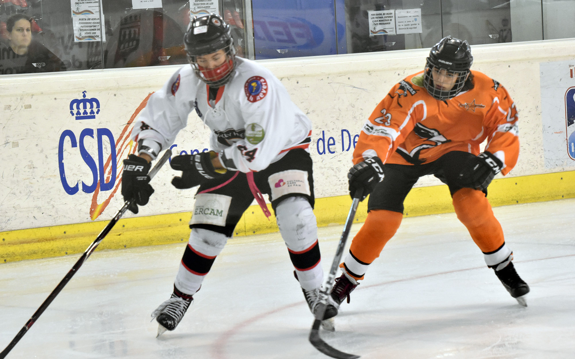 Duelo, Duelo en la cumbre entre CG Puigcerdà y SAD Majadahonda, Real Federación Española Deportes de Hielo